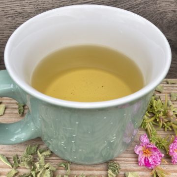 mullein leaf tea in a mug