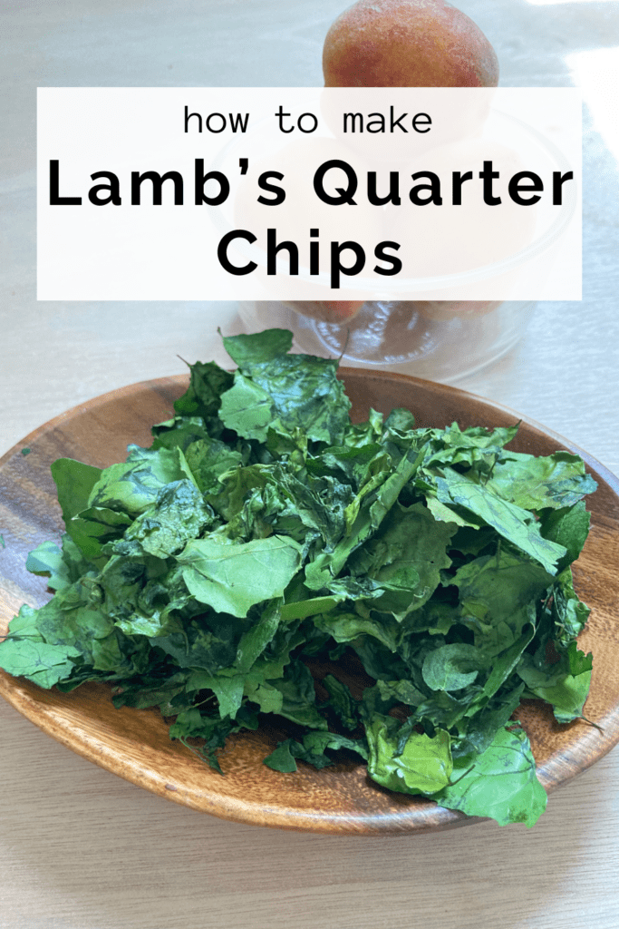 how to make lambs quarter chips pin image
