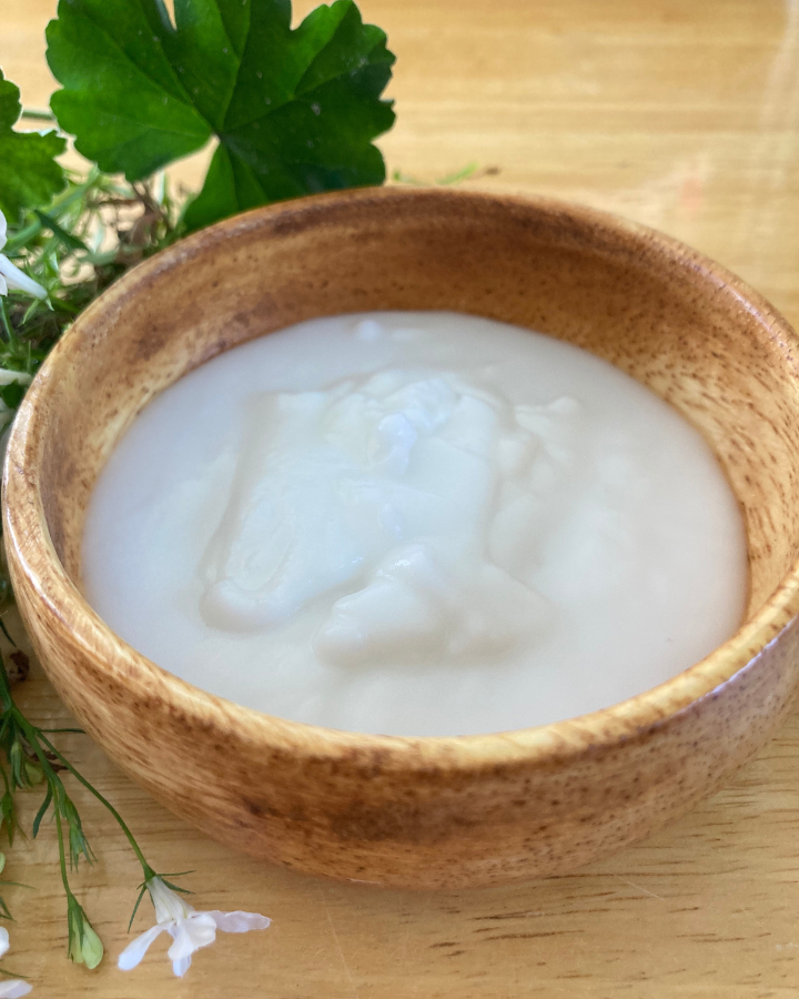 a bowl of homemade toothpaste