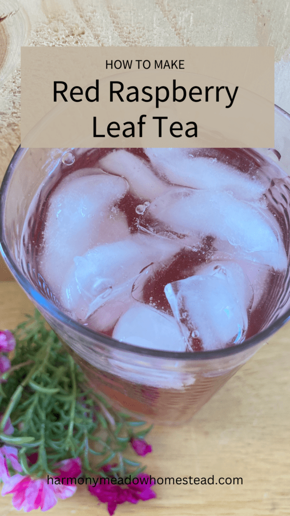how to make red raspberry leaf tea pin image