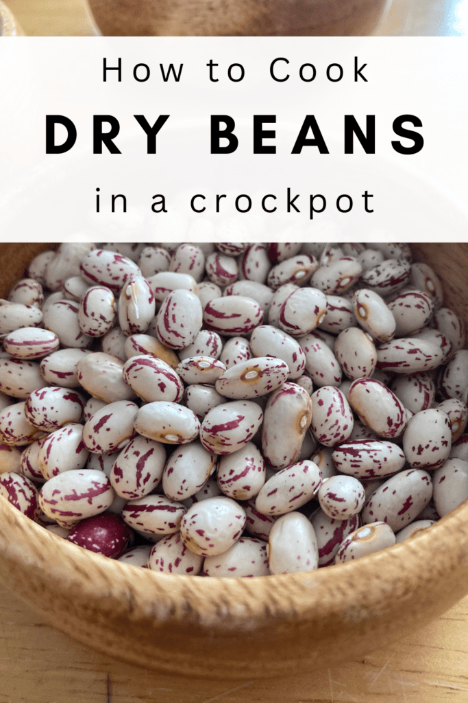 The Best Way to Cook Dried Beans in a Crock Pot
