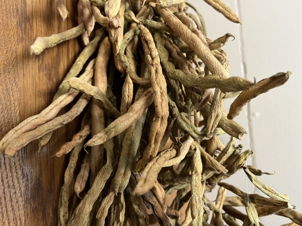 dried green beans on a string