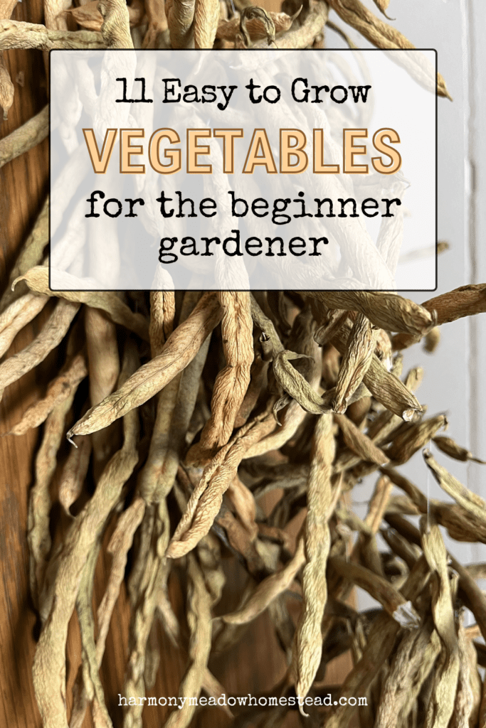 11 easy to grow vegetables for the beginner gardener pin image